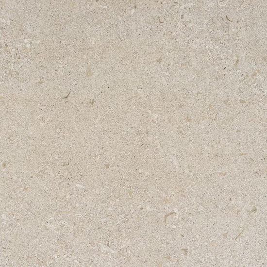 Avorio
