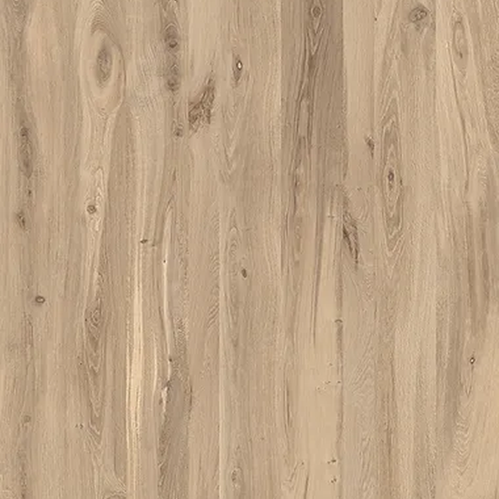 Blonde Oak