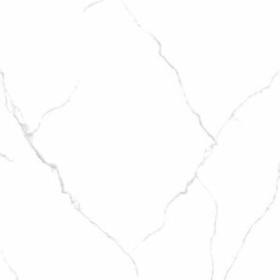 Marble Statuario