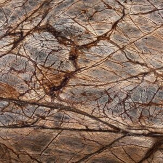 Rain Forest Brown