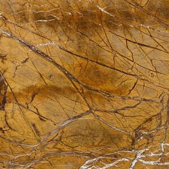 Rain Forest Gold