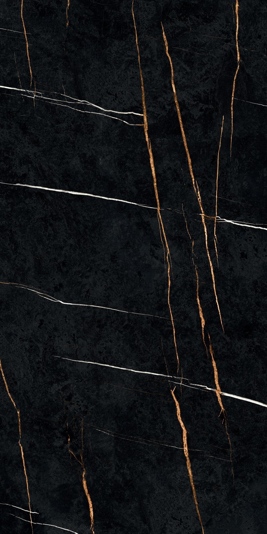 Sahara Noir
