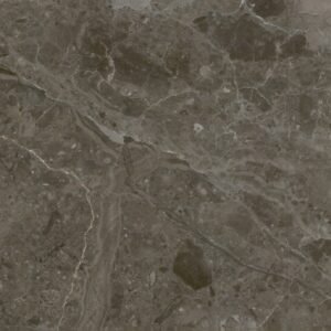 Savana Grey