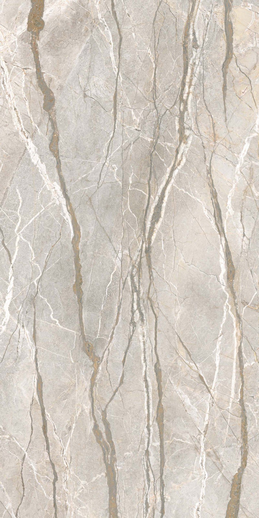 Silver Roots
